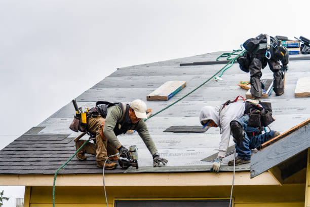 Professional Gutter Installation technician working in Macclesfield, NC